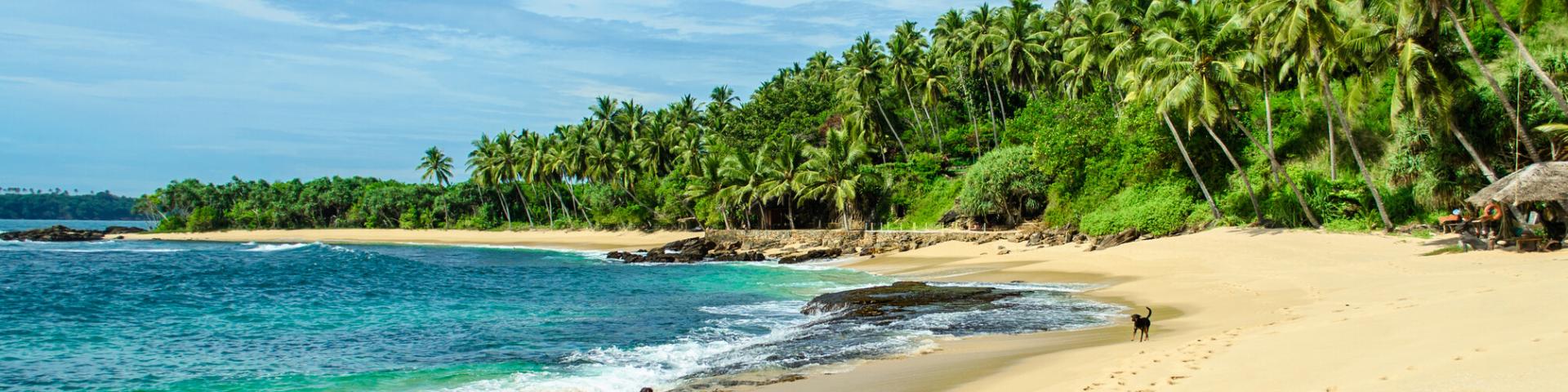 Tangalle – luksusowy wypoczynek na południowym wybrzeżu Sri Lanki